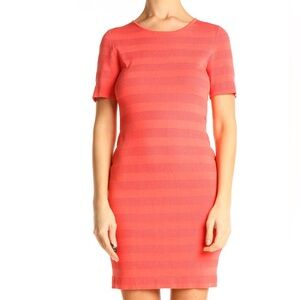 Torn by Ronny KOBO
Striped‎ Day Sheath Dress Size S NWT